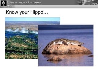 Know your Hippo… 
