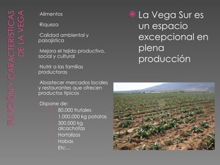Alimentos Riqueza Calidad ambiental y paisajística Mejora el tejido productivo, social y cultural Nutrir a las familias productoras Abastecer mercados locales y restaurantes que ofrecen productos típicos Dispone de: 80.000 frutales 1.000.000 kg patatas 300.000 kg alcachofas Hortalizas Habas Etc… La Vega Sur es un espacio excepcional en plena producción 