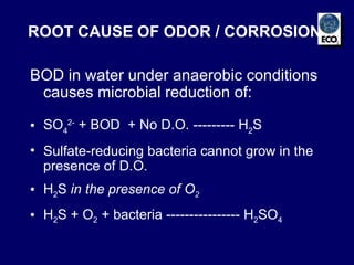 BOD in water under anaerobic conditions causes microbial reduction of: SO 4 2-  + BOD  + No D.O. --------- H 2 S Sulfate-reducing bacteria cannot grow in the presence of D.O. H 2 S  in the presence of O 2 H 2 S + O 2  + bacteria ---------------- H 2 SO 4 ROOT CAUSE OF ODOR / CORROSION 