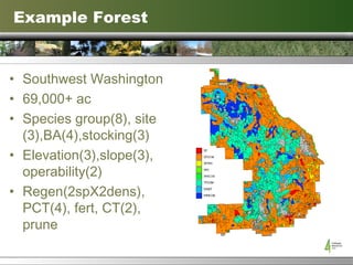 Example Forest Southwest Washington 69,000+ ac Species group(8), site (3),BA(4),stocking(3) Elevation(3),slope(3), operability(2) Regen(2spX2dens), PCT(4), fert, CT(2), prune 