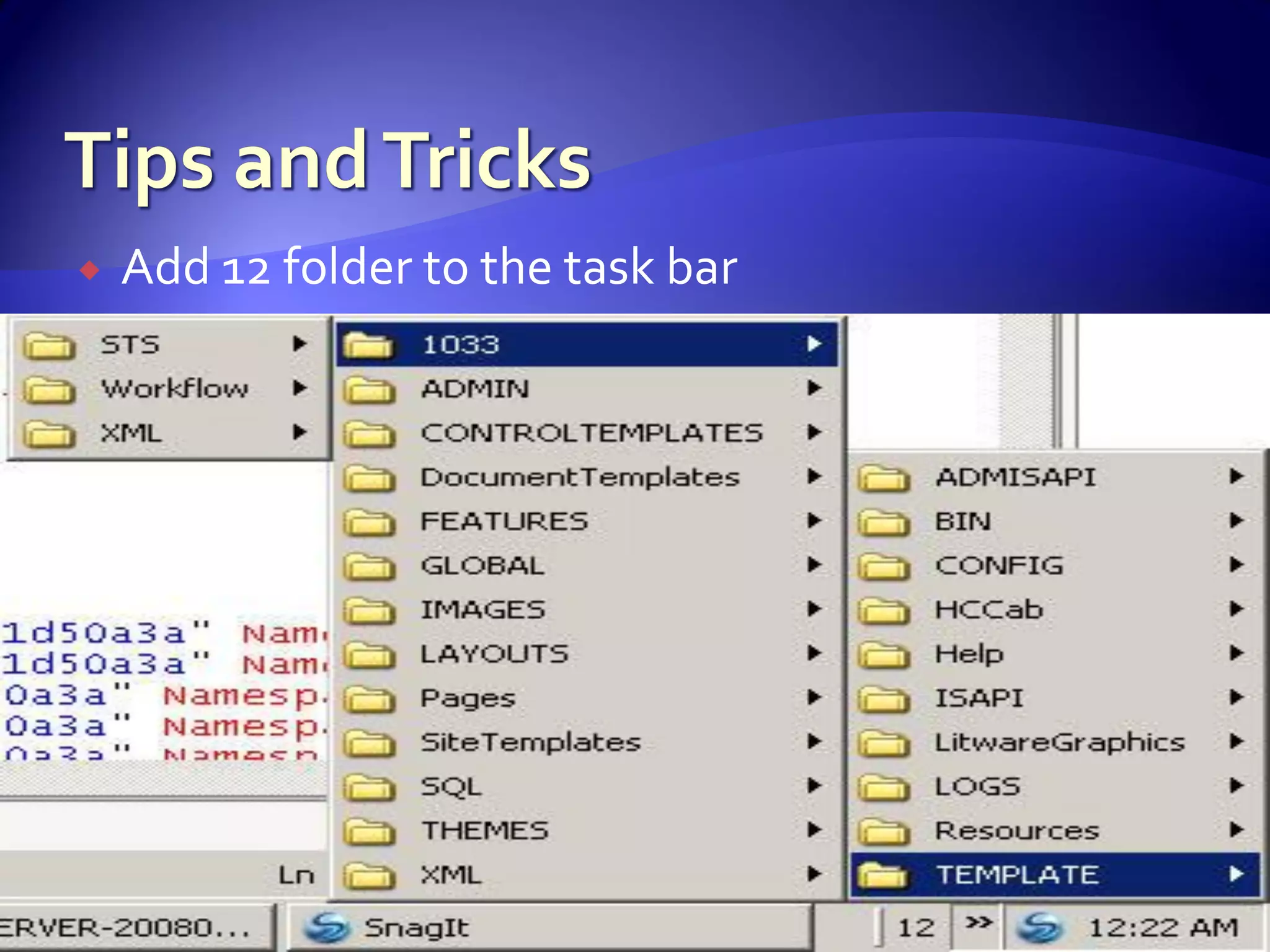 WSS And Share Point For Developers