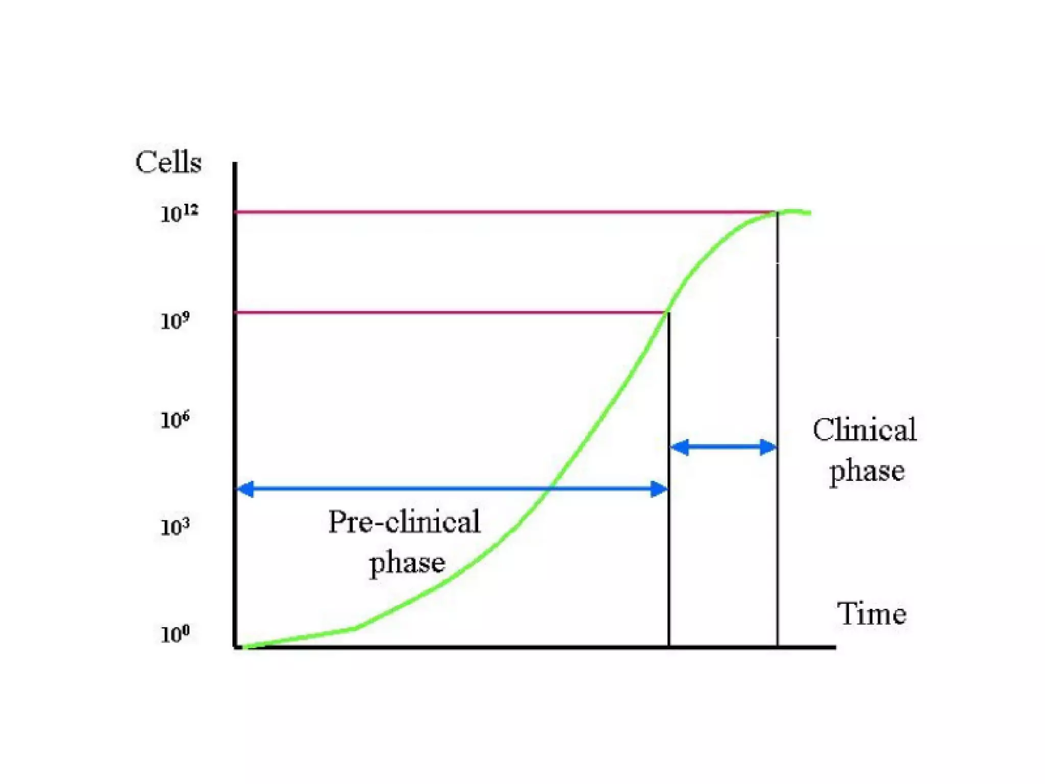 Cancer Biology