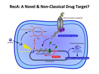 RecA: A Novel & Non-Classical Drug Target? 