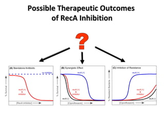 Possible Therapeutic Outcomes  of RecA Inhibition ? 