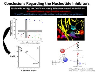 Conclusions Regarding the Nucleotide Inhibitors Nucleotide Analogs are Conformationally Selective Competitive Inhibitors:  N 6  –modifications target inactive monomers 2' and 3' modifications target the active conformation competitively Wigle , Gromova & Singleton, submitted (2008) Wigle, Lee & Singleton, Biochemistry (2006) K i  ( μ M) % inhibition ATPase 