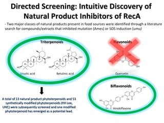 Directed Screening: Intuitive Discovery of  Natural Product Inhibitors of RecA - Two major classes of natural products present in food sources were identified through a literature search for compounds/extracts that inhibited mutation (Ames) or SOS induction ( umu) Flavonoids Triterpenoids Quercetin Ursolic acid Betulinic acid Biflavonoids Hinokiflavone A total of 13 natural product phytoterpenoids and 53 synthetically modified phytoterpenoids (KH Lee, UNC) were subsequently screened and one modified phytoterpenoid has emerged as a potential lead. 
