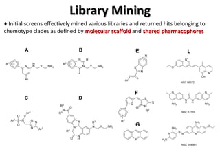 Library Mining ♦   Initial screens effectively mined various libraries and returned hits belonging to chemotype clades as defined by  molecular scaffold  and  shared pharmacophores L 