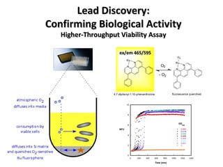 Lead Discovery: Confirming Biological Activity Higher-Throughput Viability Assay ex/em 465/595 