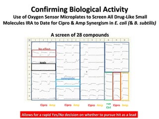 Confirming Biological Activity  Use of Oxygen Sensor Microplates to Screen All Drug-Like Small Molecules IRA to Date for Cipro & Amp Synergism in  E. coli ( &  B. subtilis) synergistic toxic No effect Allows for a rapid Yes/No decision on whether to pursue hit as a lead A screen of 28 compounds +ve Ctrl Cipro Amp Cipro Amp Cipro Amp Cipro Amp 