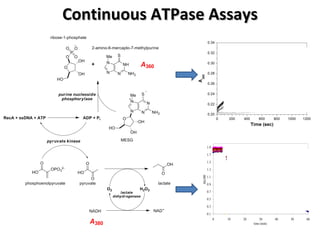 Continuous ATPase Assays 