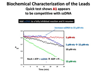 15  μ M-nts 1  μ M-nts 10  μ M-nts 1  μ M-nts    15  μ M-nts increase ssDNA to 15  μ M-nts Biochemical Characterization of the Leads Quick test shows  A1  appears  to be competitive with ssDNA Add  ssDNA  to a fully inhibited reaction and it resumes RecA + ATP  + ssDNA    ADP + Pi 
