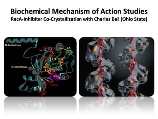 Biochemical Mechanism of Action Studies RecA-Inhibitor Co-Crystallization with Charles Bell (Ohio State) 