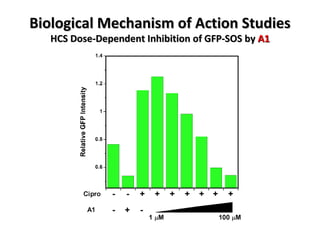 Biological Mechanism of Action Studies HCS Dose-Dependent Inhibition of GFP-SOS by  A1 