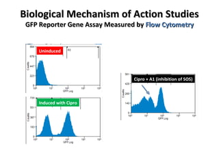 Biological Mechanism of Action Studies GFP Reporter Gene Assay Measured by  Flow Cytometry Induced with Cipro Uninduced Cipro + A1 (inhibition of SOS) 