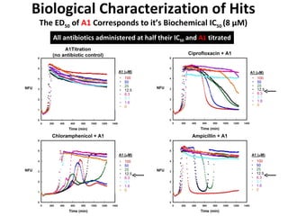Biological Characterization of Hits The ED 50  of  A1  Corresponds to it’s Biochemical IC 50  (8  μ M) All antibiotics administered at half their IC 50  and  A1  titrated 