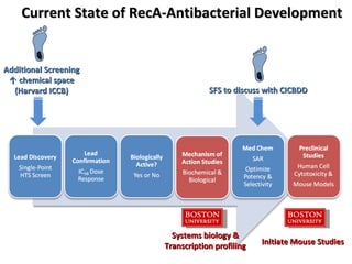 Current State of RecA-Antibacterial Development SFS to discuss with CICBDD Systems biology & Transcription profiling Additional Screening ↑  chemical space (Harvard ICCB) Initiate Mouse Studies 