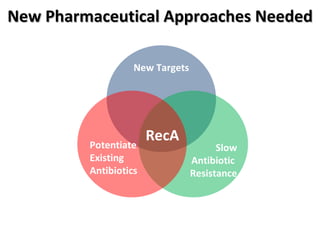 New Pharmaceutical Approaches Needed New Targets Slow Antibiotic  Resistance Potentiate Existing  Antibiotics RecA 