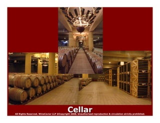 Wine Caviar Highlights For Wine Tasting