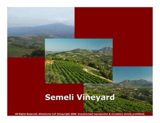 Wine Caviar Highlights For Wine Tasting