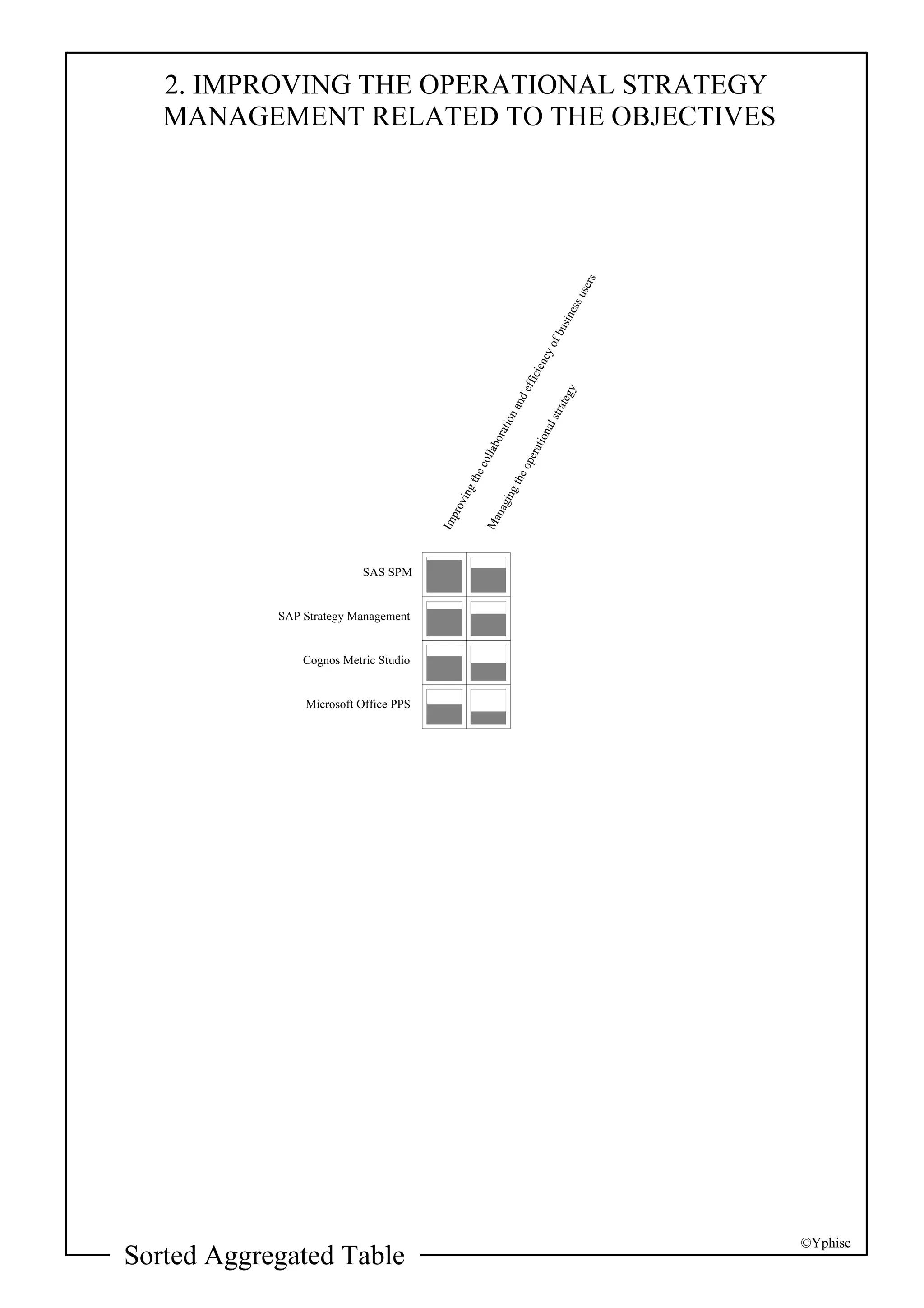 Yphise Software Product Assessment, Strategy Management, December 2008