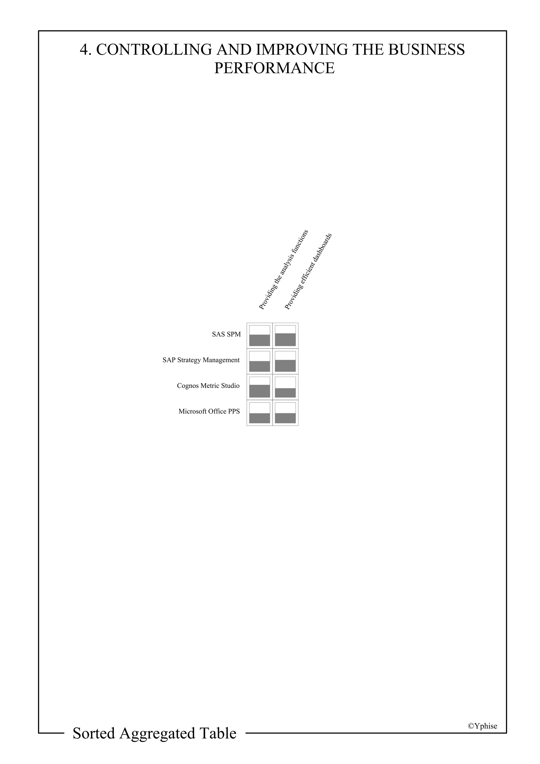 Yphise Software Product Assessment, Strategy Management, December 2008