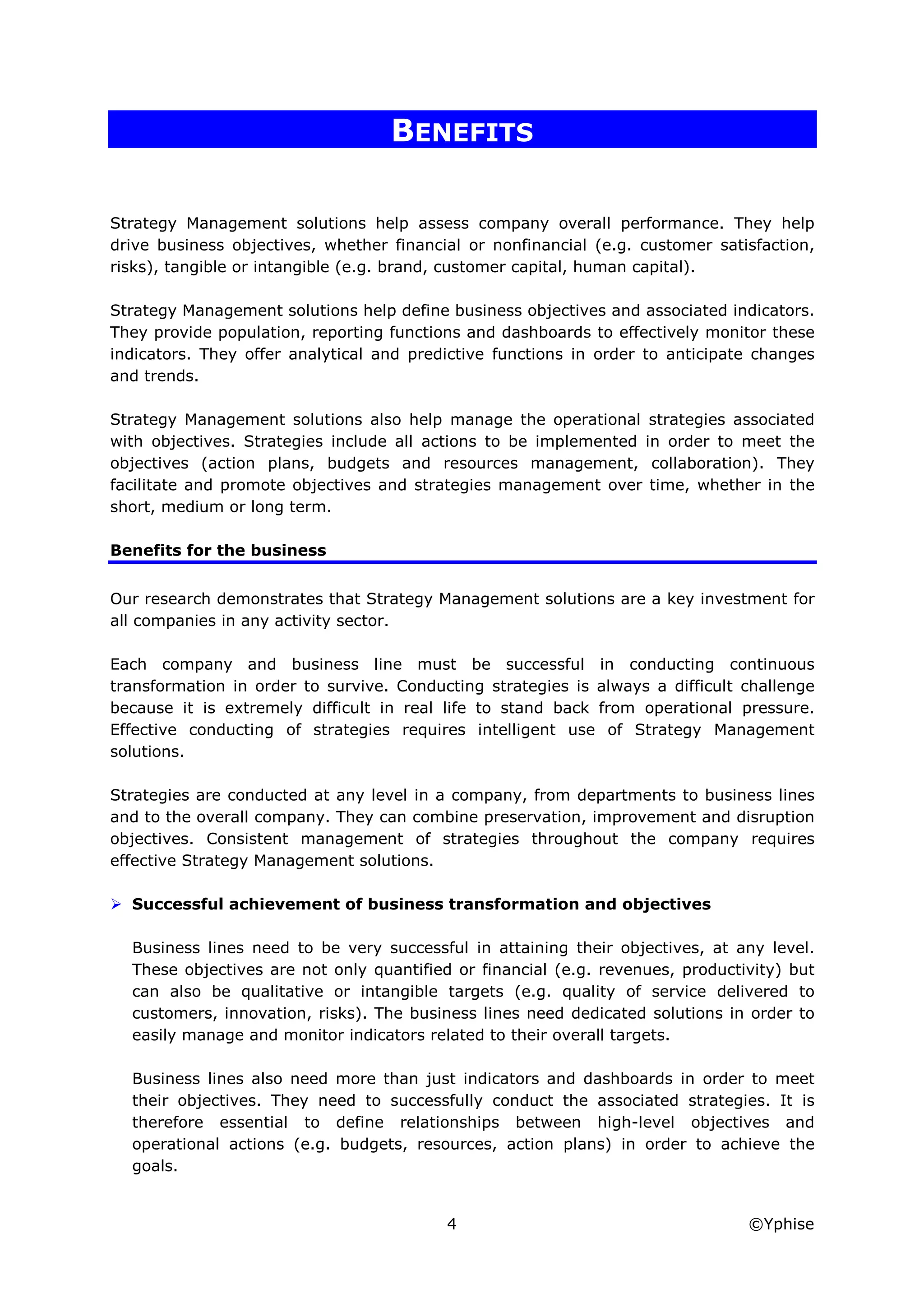 Yphise Software Product Assessment, Strategy Management, December 2008