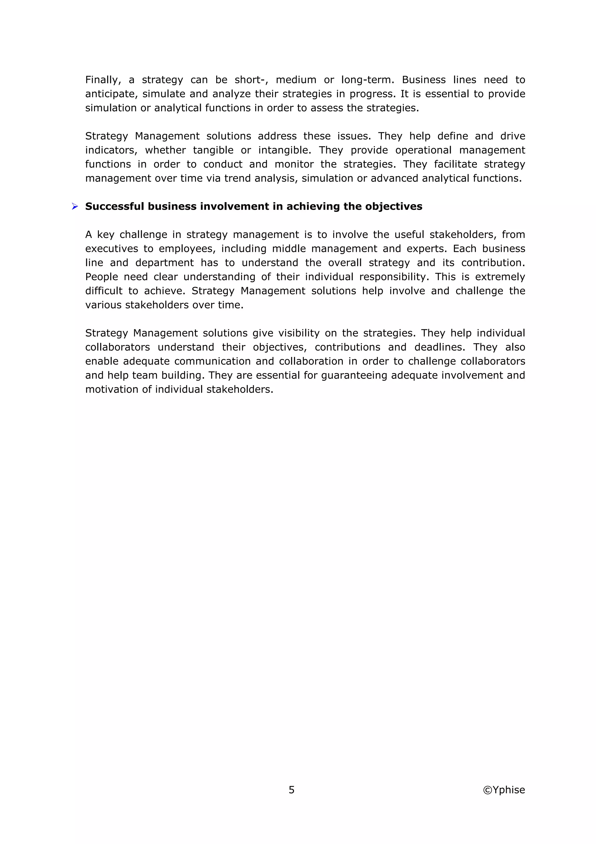 Yphise Software Product Assessment, Strategy Management, December 2008