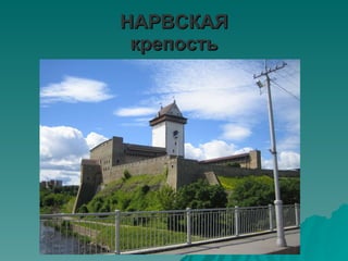 НАРВСКA Я крепость 