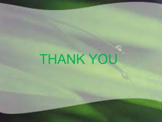 Product-Oriented Definition 	Continuous Innovation