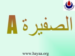 www.hayaa.org 