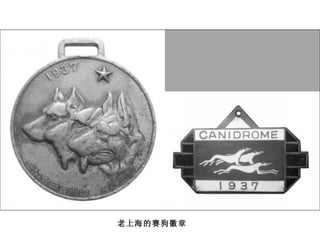 老上海的赛狗徽章   