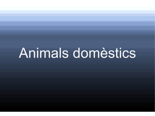 Animals domèstics 