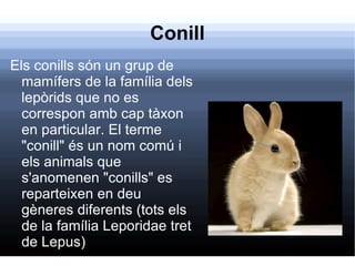 Conill Els conills són un grup de mamífers de la família dels lepòrids que no es correspon amb cap tàxon en particular. El terme "conill" és un nom comú i els animals que s'anomenen "conills" es reparteixen en deu gèneres diferents (tots els de la família Leporidae tret de Lepus) 