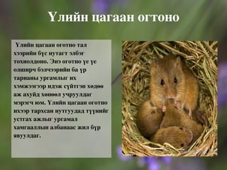 Хээр тал нутаг нь өргөн уудам, тэгш талархаг газар байх бөгөөд энэ нутгийн амьтны аймаг өвөрмөц онцлогтой. Тал хээрийн нутагт өвслөг ургамал элбэг ургах учир энд өвсөн тэжээлтэн, жижиг мэрэгчид болон эдгээрээр хооллогч махчин амьтад ч элбэг тохиолдоно. Тухайлбал, саарал чоно, хярс, дорго, өмхий хүрэн, бор туулай, монгол тарвага, урт сүүлт зурам, дагуурын зараа, монгол огодой, цагаан зээр, тарвага, зурам, үлийн цагаан оготно зэрэг олон амьтад бий. Манай оронд тал хээрийн шувуудаас хээрийн бүргэд, шилийн сар, начин шонхор, тогоруу, тоодог,хээрийн болжмор мэтийн шувууд байна. Тал хээрийн амьтад 