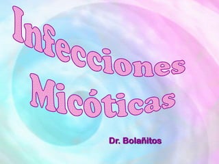 Dr. Bolañitos
 