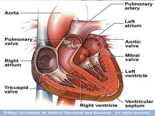 Cardiogenic pulmonary
       edema
                        2
 