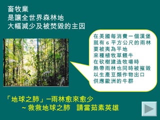 在美國每消費一個漢堡 就有 6 平方公尺的雨林 要被夷為平地 來種植牧草餵牛 在砍樹建造牧場時 熱帶雨林也同時被摧毀 以生產豆類作物出口 供應歐洲的牛群 畜牧業 是讓全世界森林地 大幅減少及被焚毀的主因 「地球之肺」─雨林愈來愈少   ~ 救救地球之肺  請當茹素英雄 