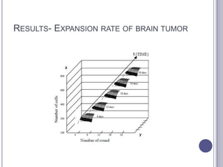 RESULTS- EXPANSION RATE OF BRAIN TUMOR
 