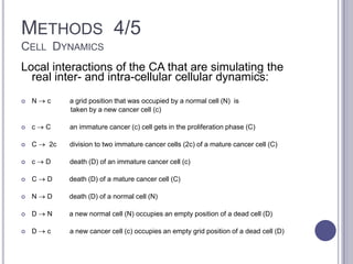 METHODS 4/5
CELL DYNAMICS
Local interactions of the CA that are simulating the
real inter- and intra-cellular cellular dynamics:
 N c a grid position that was occupied by a normal cell (N) is
taken by a new cancer cell (c)
 c C an immature cancer (c) cell gets in the proliferation phase (C)
 C 2c division to two immature cancer cells (2c) of a mature cancer cell (C)
 c D death (D) of an immature cancer cell (c)
 C D death (D) of a mature cancer cell (C)
 N D death (D) of a normal cell (N)
 D N a new normal cell (N) occupies an empty position of a dead cell (D)
 D c a new cancer cell (c) occupies an empty grid position of a dead cell (D)
 