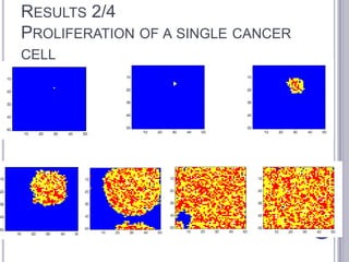 RESULTS 2/4
PROLIFERATION OF A SINGLE CANCER
CELL
 