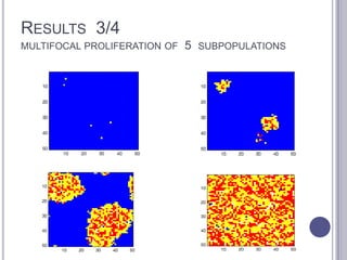 RESULTS 3/4
MULTIFOCAL PROLIFERATION OF 5 SUBPOPULATIONS
 