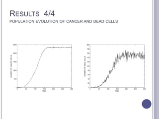 RESULTS 4/4
POPULATION EVOLUTION OF CANCER AND DEAD CELLS
 