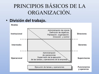 PRINCIPIOS BÁSICOS DE LA
ORGANIZACIÓN.
• División del trabajo.
 