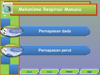 Mekanisme Respirasi Manusia
Isi

Pernapasan dada

Pernapasan perut

Back
Back

Next
Next

Home
Home

End
End

 