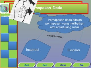 Pernapasan Dada
Mekanisme
respirasi

Pernapasan dada adalah
pernapasan yang melibatkan
otot antartulang rusuk
mekanism
enya

Inspirasi

Back
Back

Ekspirasi

Next
Next

Home
Home

End
End

 