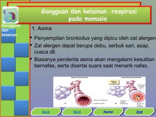 Gangguan dan kelainan respirasi
pada manusia
Gangguan
dan
kelainan

1. Asma

 Penyempitan bronkiolus yang dipicu oleh zat alergen.
 Zat alergen dapat berupa debu, serbuk sari, asap,
cuaca dll.
 Biasanya penderita asma akan mengalami kesulitan
bernafas, serta disertai suara saat menarik nafas.

Back
Back

Next
Next

Home
Home

End
End

 