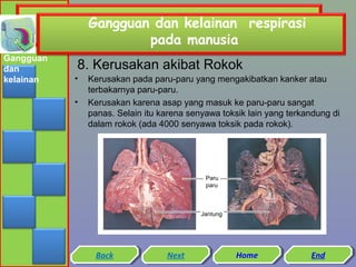 Gangguan dan kelainan respirasi
pada manusia
Gangguan
dan
kelainan

8. Kerusakan akibat Rokok
•
•

Kerusakan pada paru-paru yang mengakibatkan kanker atau
terbakarnya paru-paru.
Kerusakan karena asap yang masuk ke paru-paru sangat
panas. Selain itu karena senyawa toksik lain yang terkandung di
dalam rokok (ada 4000 senyawa toksik pada rokok).

Paru
paru

Jantung

Back
Back

Next
Next

Home
Home

End
End

 