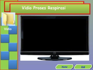 Vidio Proses Respirasi

Vidio

Home
Home

End
End

 