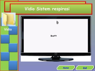 Vidio Sistem respirasi

Vidio

Home
Home

End
End

 
