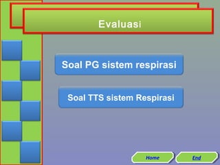 Evaluas i

Soal PG sistem respirasi
Soal TTS sistem Respirasi

Home
Home

End
End

 